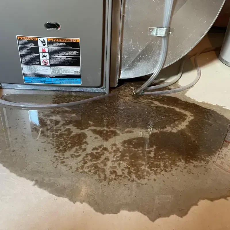 Appliance Leak Cleanup in Pebble Creek, FL